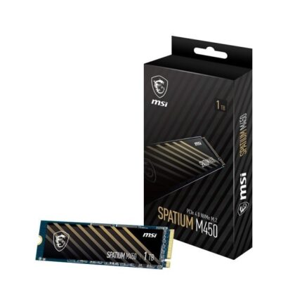 MSI SPATIUM M450 1TO NVME - Campus Informatique