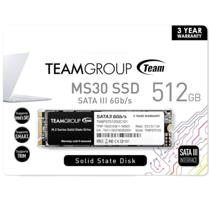 SSD TEAMGROUP M.2 MS30 512GO SATA III