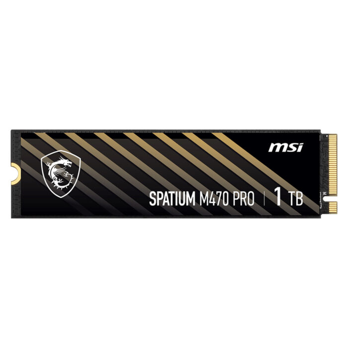 MSI SPATIUM M470 PRO 1TO