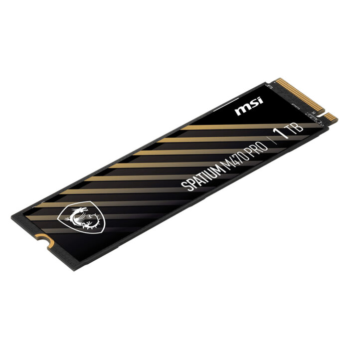 MSI SPATIUM M470 PRO 1TO