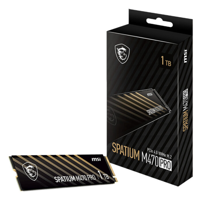 MSI SPATIUM M470 PRO 1TO