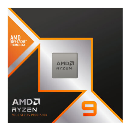 AMD RYZEN 9 9900X3D